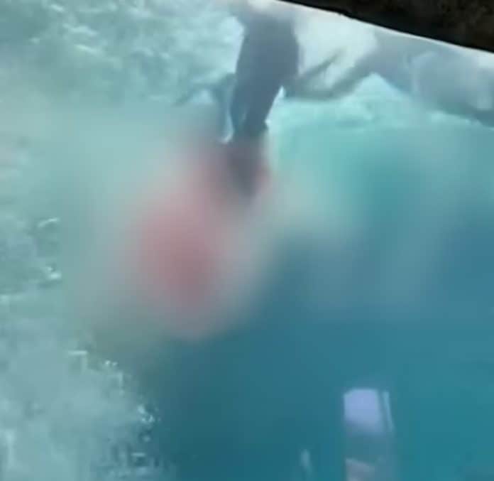 قرش يعض طفل