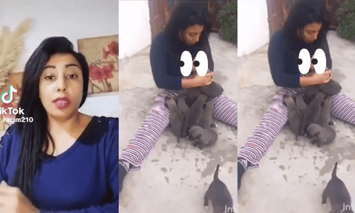 مغربية تُرضع الكلاب من ثديها مباشرة.. فيديو قلب المغرب والشرطة تتدخل