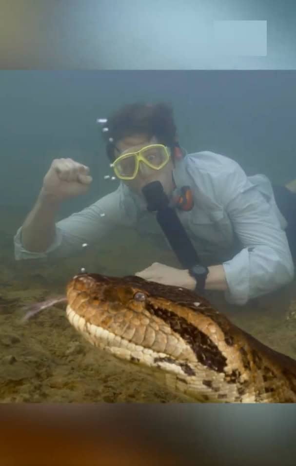 أضخم أناكوندا