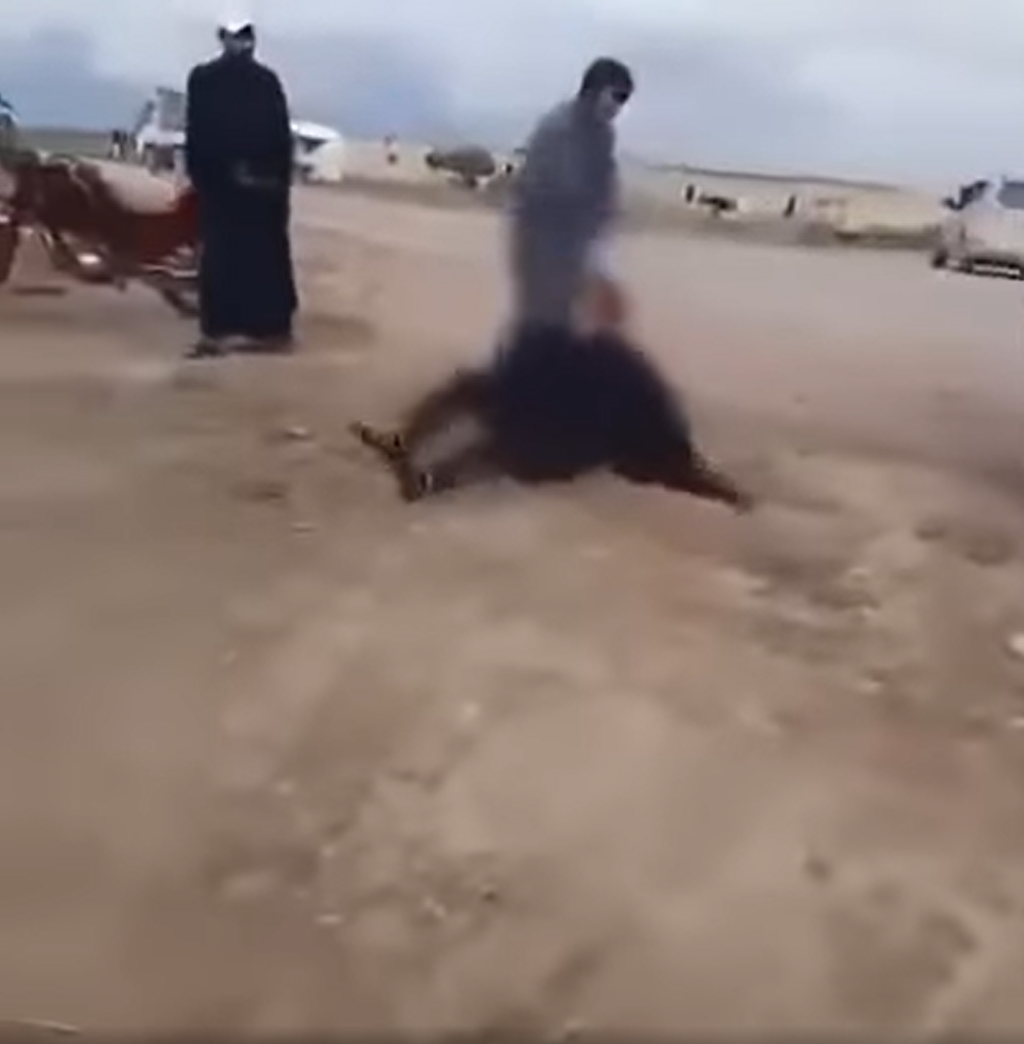 فيديو صادم من سوريا لتعذيب فتاتين بشكل وحشي بداعي الشرف