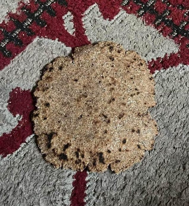 خبر من علف الحيوانات