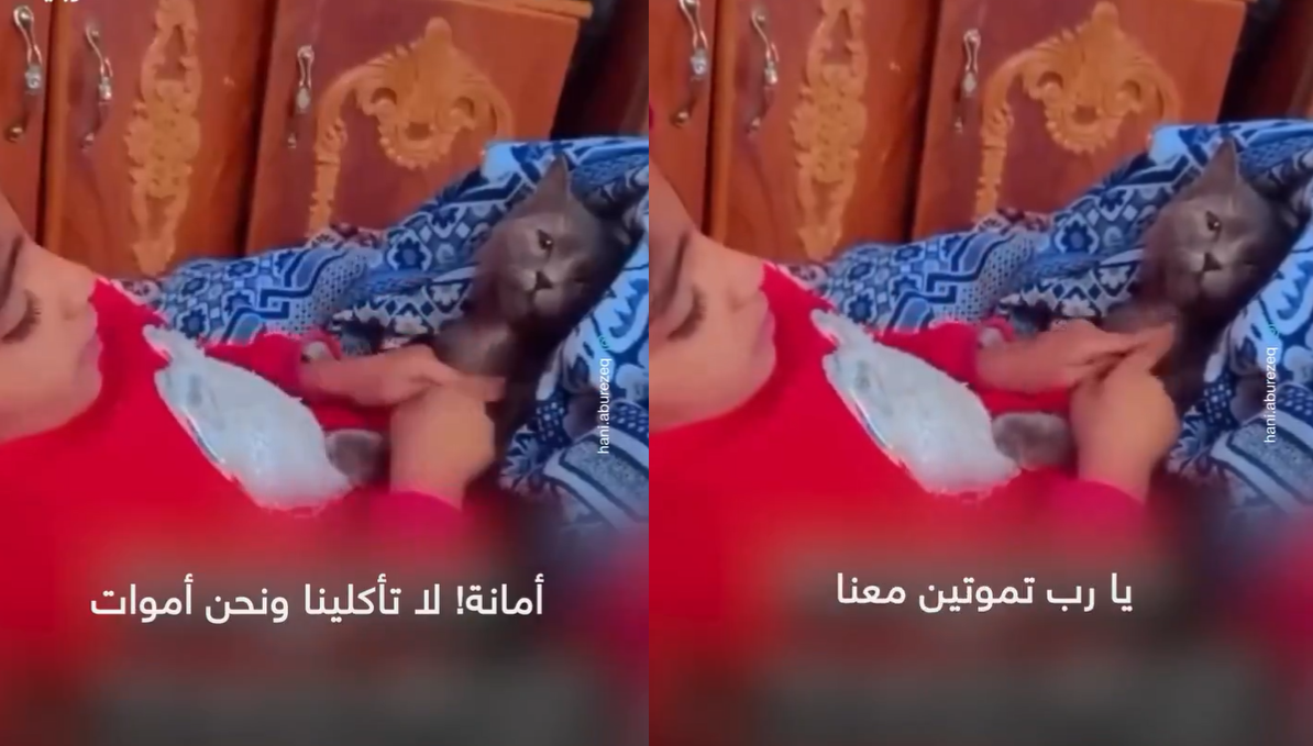 بماذا أوصت قطتها؟.. مشهد عفوي مُبكي وصادم لطفلة فلسطينية!