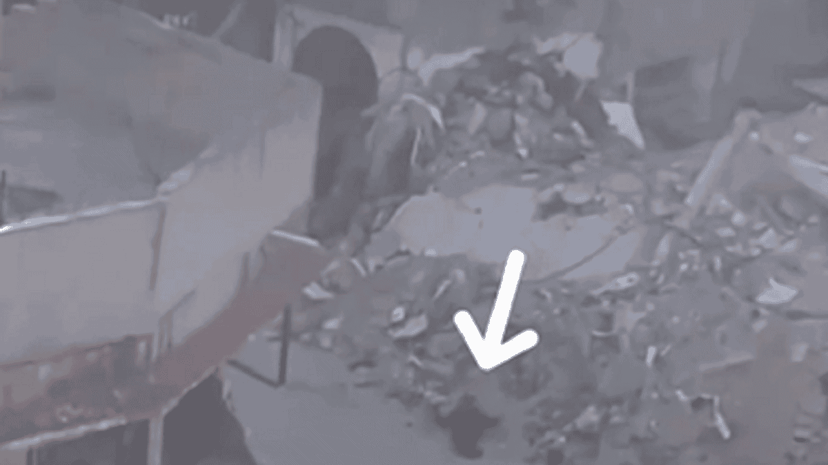 إعدام فتى فلسطيني في محيط مجمع الشفاء