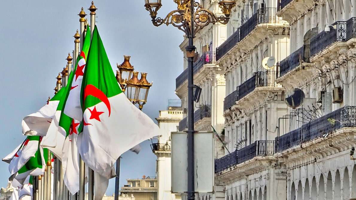 إنتاجا للحبوب.. الجزائر تتفوق على المغرب لتصبح ثاني أكبر دولة في إفريقيا