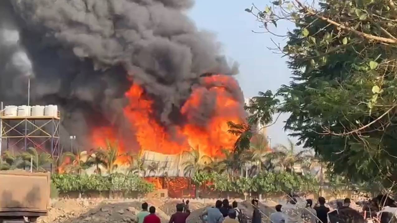 حريق في منتزه بالهند