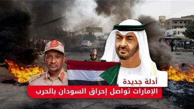 الإمارات والسودان