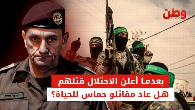 أعداد قتلى حماس