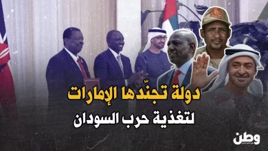 كينيا وحرب السودان
