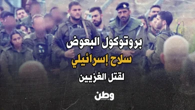 بروتوكول البعوض