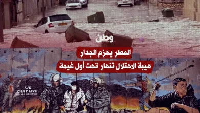 المطر يهزم الجدار.. هيبة الاحتلال تنهار تحت أول غيمة