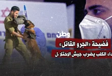 فضيحة «الجرو القاتل».. داء الكلب يضرب جيش الاحتلال