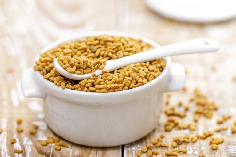 تسلط دراسات حديثة الضوء على دور الحلبة في إبطاء امتصاص الكربوهيدرات وتحسين سكر الدم بعد الوجبات، مع تنبيهات مهمة لمرضى السكري والحوامل.