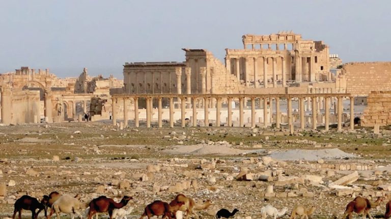 تدمر بعد الحرب.. كيف تحولت مدينة الحضارة السورية من ساحة دمار إلى معركة من أجل البقاء؟ تدمر بعد الحرب