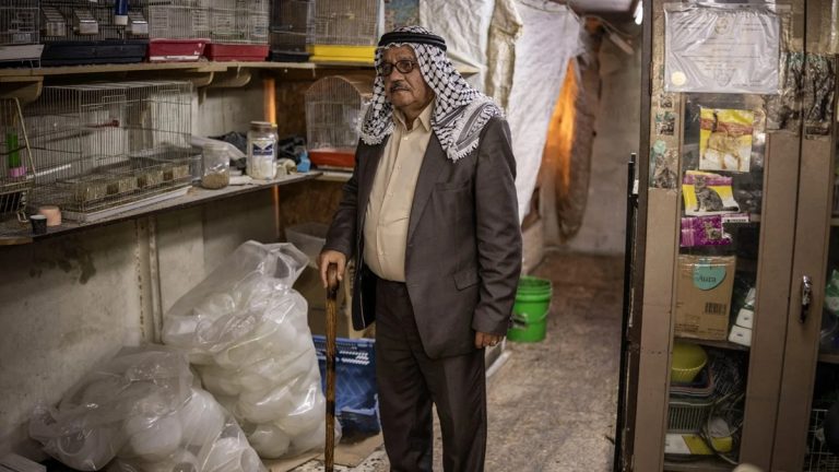 تهجير آلاف الفلسطينيين في الخليل.. إسرائيل تمنع عائلات من العودة بعد هجوم فرش الهوى قوات الاحتلال تُجبر مئات العائلات في الخليل على إخلاء منازلها خلال دقائق، بالتزامن مع هدم منشآت وحصار واسع يثير مخاوف من أزمة إيواء.