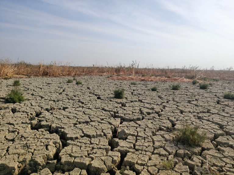 الجفاف والتوسع النفطي يهددان حياة سكان أهوار الحويزة في العراق.. تراث بيئي على حافة الاختفاء يهدد الجفاف والتوسع النفطي أهوار الحويزة في جنوب العراق، ويدفعان سكانها إلى النزوح، وسط تحذيرات اليونسكو من تدهور موقعها المدرج على قائمة التراث العالمي.